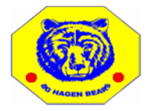 Logo BG DEK/Fichte Hagen